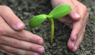 compensación ambiental