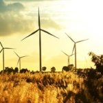 Soluciones ambientales para el desarrollo de parques eólicos en Chile