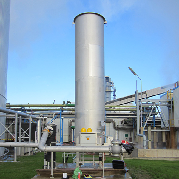 Biogas INERCO Descarbonización transición energética
