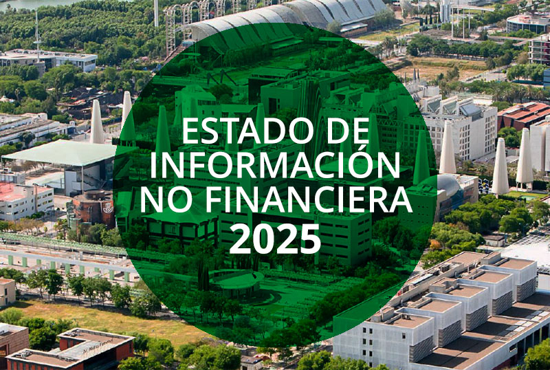 Estado de Información No Financiera 2025 INERCO