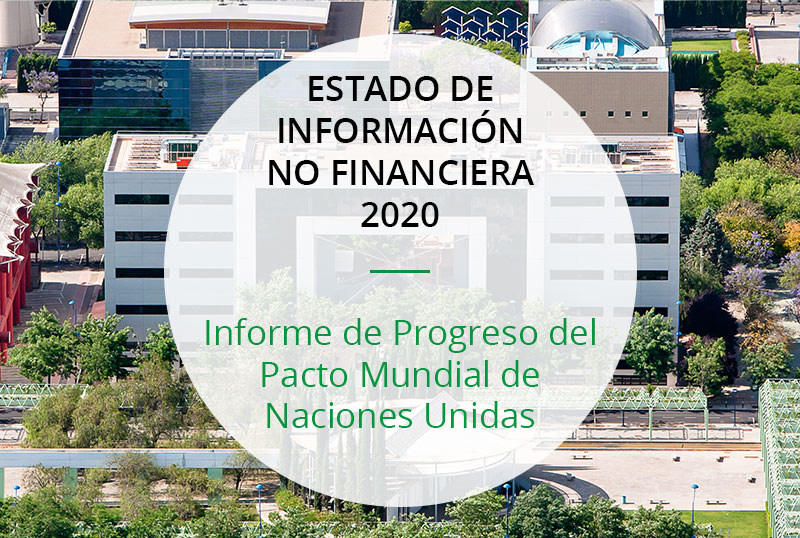 INERCO Informe de Progreso 2020